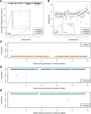 Uniparental disomy screen of Irish rare disorder cohort unmasks homozygous variants of clinical significance in the TMCO1 and PRKRA genes